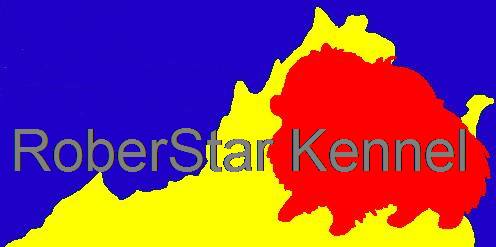 Roberstar Kennel Pomeranian